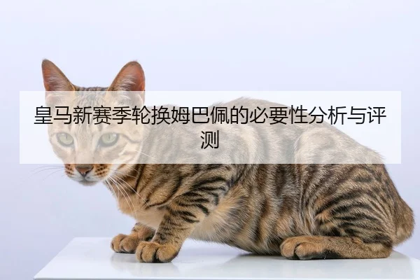 皇马新赛季轮换姆巴佩的必要性分析与评测